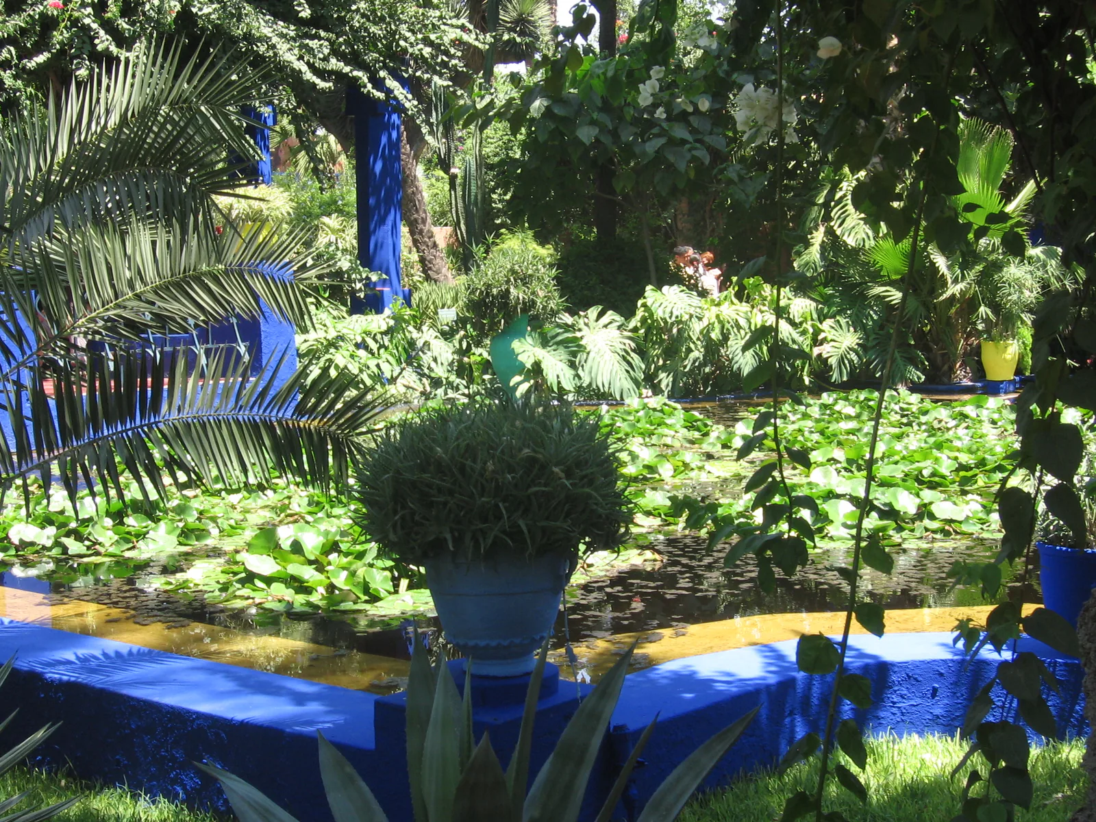 Blue planters and lush plants in the Majorelle Garden, Marrakech